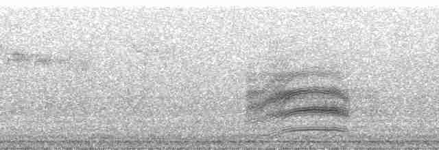 Paruline verdâtre (lutescens) - ML137624