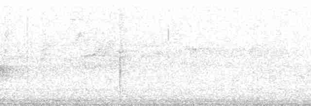 Paruline verdâtre (lutescens) - ML137633