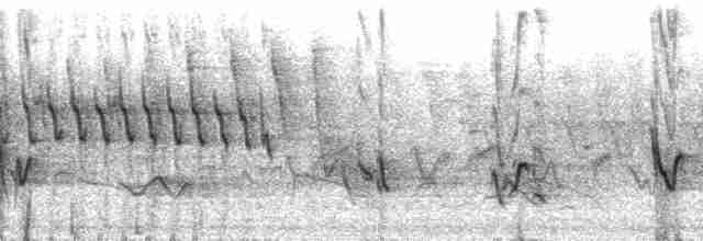 Paruline verdâtre (lutescens) - ML137637