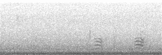 Weißbrustkleiber - ML137661251