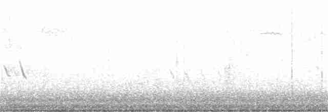 Каролинский крапивник - ML137667241
