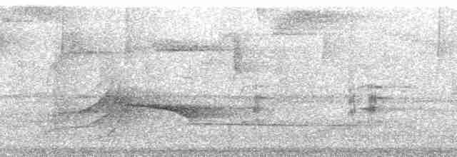 Каштановогрудый сорокопутовый виреон - ML137695
