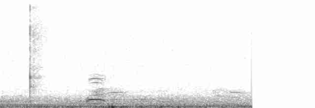 Cygne trompette - ML137716341
