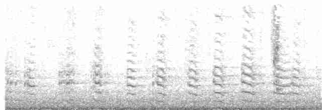 Common Gallinule (American) - ML137720061