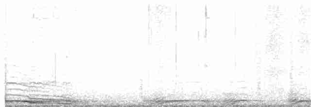 Chouette rayée - ML137723671