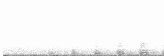 Chouette rayée - ML137723691
