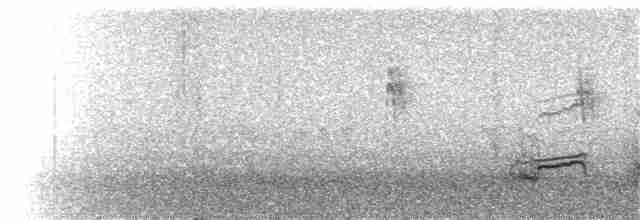 Uzun Gagalı Kervançulluğu - ML137728011