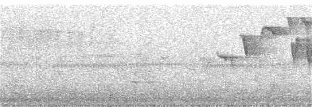 Eurasian Wren - ML137788721