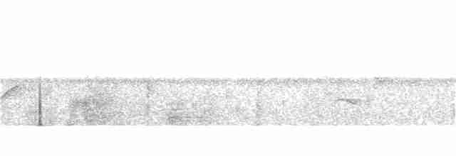 Nordamazonien-Ameisenschnäpper - ML137829471