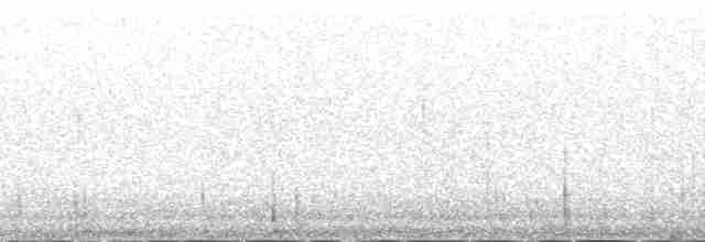 美洲黃足鷸 - ML137851