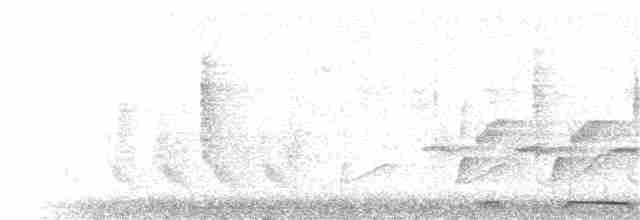 Белокрылая горлица - ML137852881