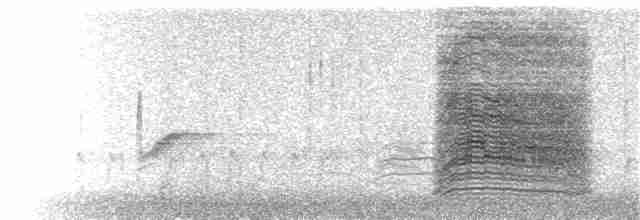 Пересмішник сірий - ML137858231