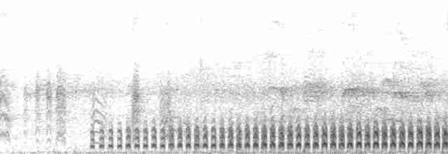 Wellenläufer (leucorhoa) - ML137861