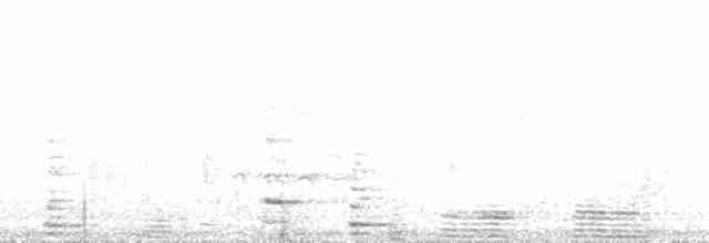 Pelagic Cormorant - ML137864