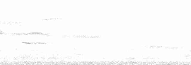 Pelagic Cormorant - ML137866