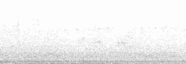 Pelagic Cormorant - ML137871