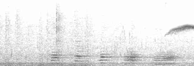 alkoun holubí - ML137872