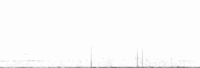 buřňáček severní (ssp. leucorhoa) - ML137874