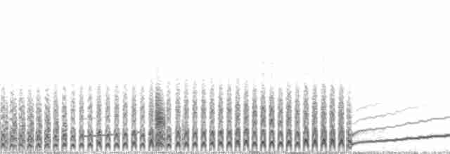 Wellenläufer (leucorhoa) - ML137877