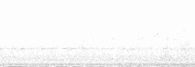orel bělohlavý - ML137879