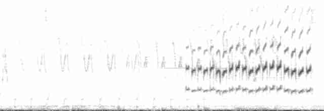 pygmésnipe - ML137894