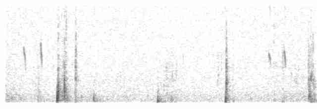 Mérgulo Californiano Alioscuro - ML137912471