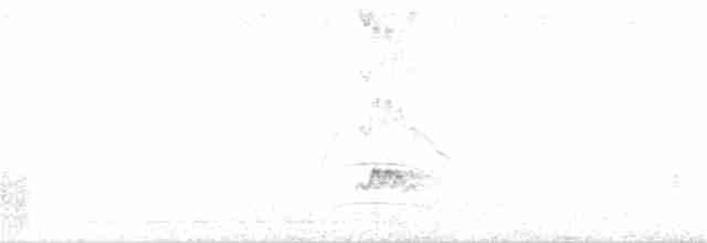 Short-crested Flycatcher - ML137971581