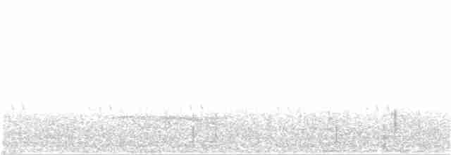 Great Eared-Nightjar - ML137973611