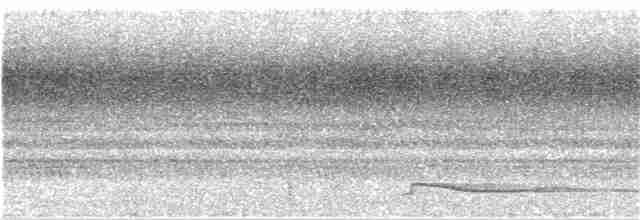 sova srílanská - ML138118641