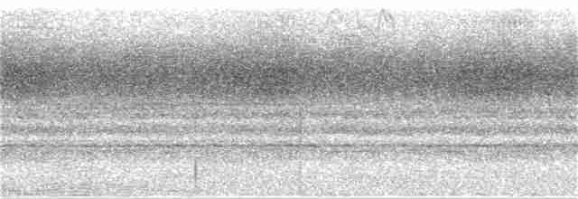 sova srílanská - ML138118671