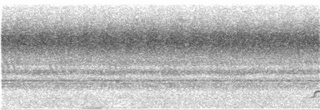 sova srílanská - ML138118711