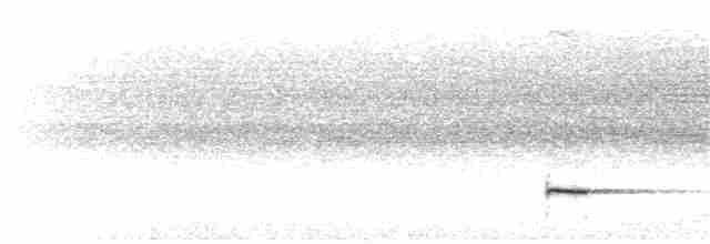 Graubrust-Ameisendrossel - ML138124951