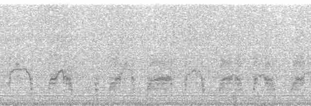 Зимняя качурка - ML138127