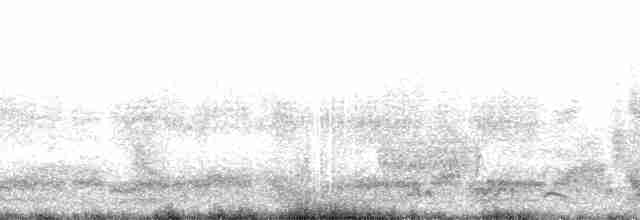 Чернохвостый буревестник - ML138133