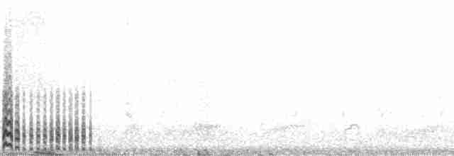 Летняя качурка - ML138136