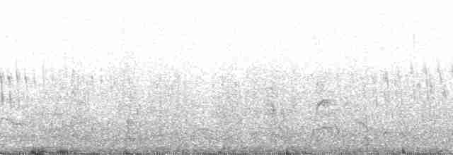 Océanite de Townsend - ML138140