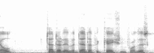 gråhalsrikse (cajaneus) - ML138162