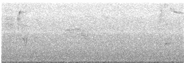 Короткокрылая эления - ML138178431
