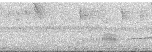 Kestane Taçlı Kotinga - ML138197