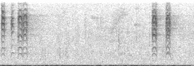 Kara Kulaklı Hemispingus [melanotis grubu] - ML13822