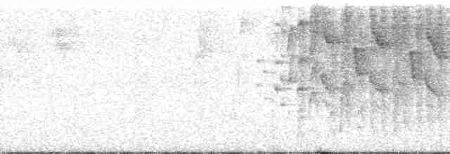Black-eared Hemispingus (Black-eared) - ML13823