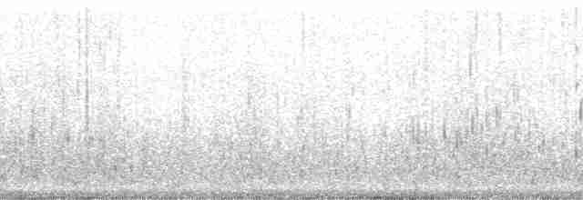 Гагара білодзьоба - ML138233