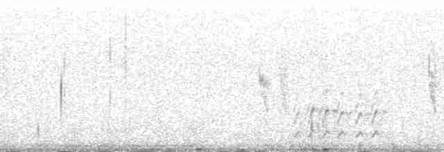 Meerstrandläufer - ML138248
