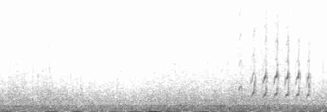 Meerstrandläufer - ML138249