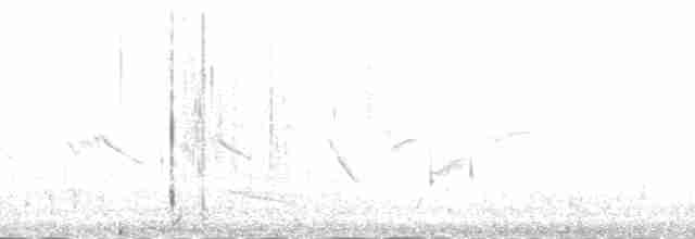 Uzun Kanatlı Kumkuşu - ML138250