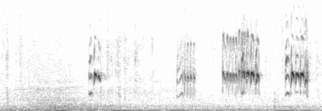 חופית בירד - ML138254