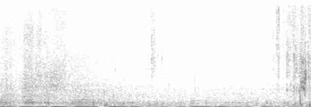 Meerstrandläufer - ML138258