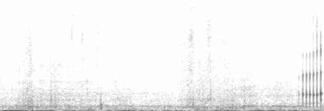 Тундровая куропатка - ML138262