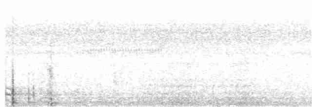 Яструб плямистохвостий - ML138266881