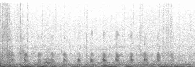 Гага-гребенушка - ML138270